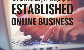 Solid Advice for Buying an Established Online Business