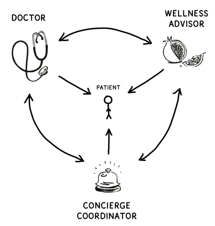 Doctor, wellness advisor, and concierge coordinator forming a circle of bidirectional arrows to show they communicate with each other. Patient stands in the middle with arrows from each of the three.